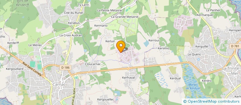 localisation de l'entreprise ARMOR REAL ESTATE  CARNAC