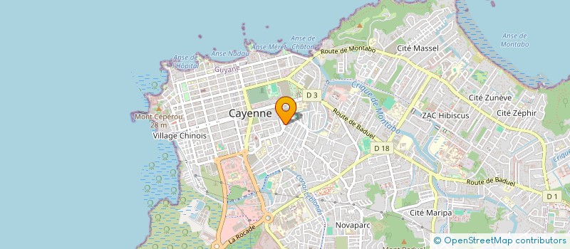 localisation de l'entreprise ARP IMMO  CAYENNE