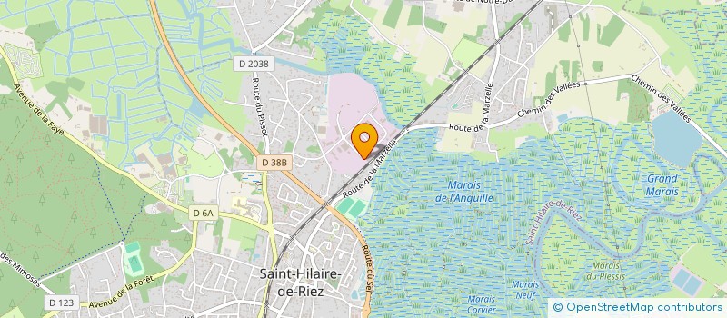 localisation de l'entreprise ARP IMMOBILIER à SAINT-HILAIRE-DE-RIEZ