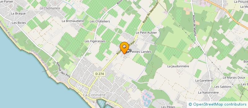 localisation de l'entreprise ARPI  SAINT-PIERRE-D'OLERON