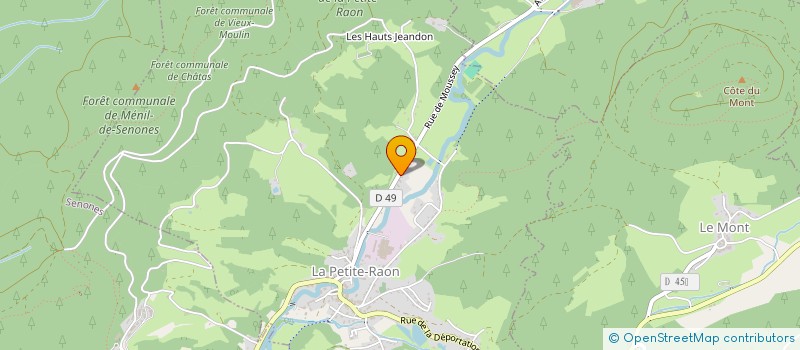 localisation de l'entreprise ARSON  LA PETITE-RAON