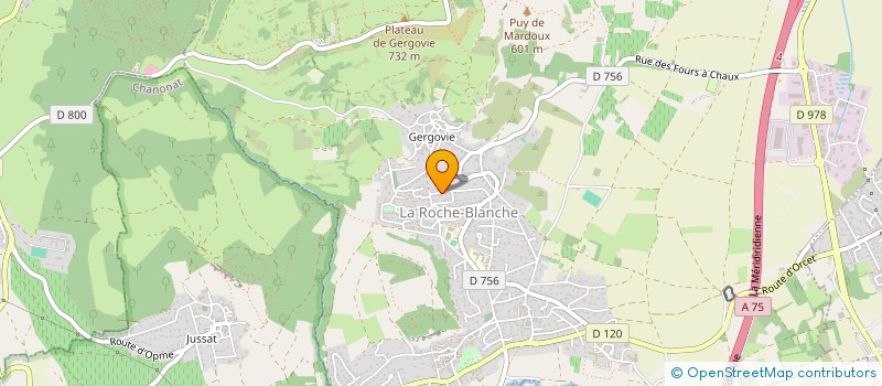 localisation de l'entreprise ART DE VUE HOLDING  LA ROCHE-BLANCHE