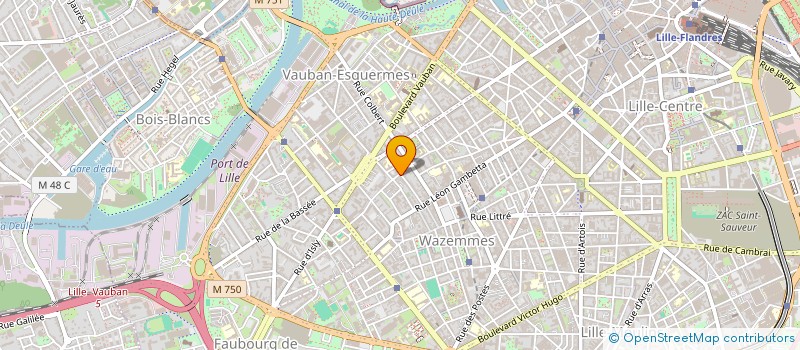 localisation de l'entreprise ART ET CULTURE FRANCE-CHINE  LILLE