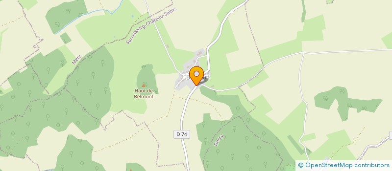 localisation de l'entreprise ART ET PIERRE  METZ