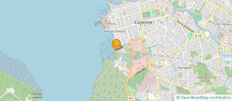 localisation de l'entreprise ART'EVOLUTION  CAYENNE