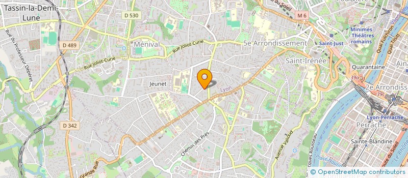 localisation de l'entreprise ART SOLUTIONS à LYON