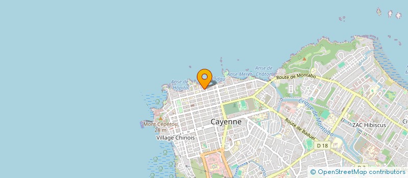 localisation de l'entreprise ART'UP  CAYENNE