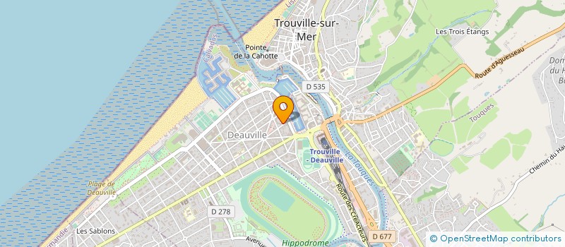 localisation de l'entreprise ARTEFIZZ à DEAUVILLE