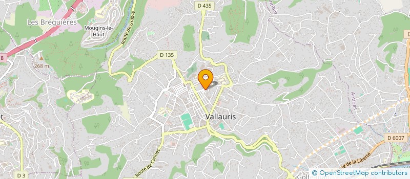 localisation de l'entreprise ARTHEMA DECOPASSION à VALLAURIS