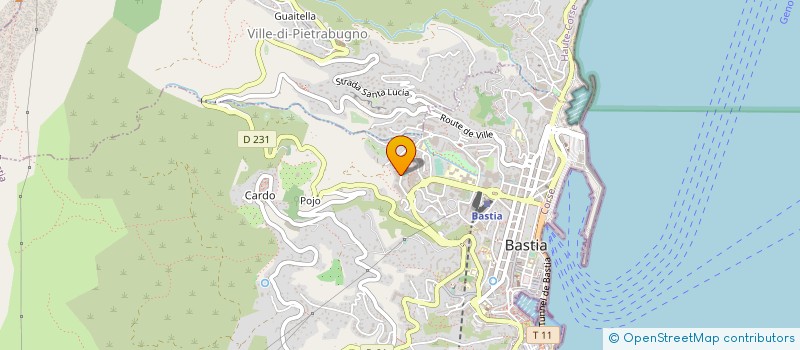 localisation de l'entreprise ARTIFORM à BASTIA