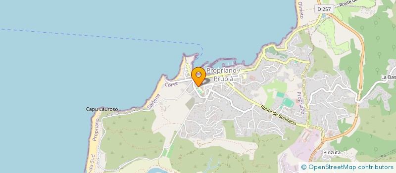 localisation de l'entreprise ARTISAN - FROID COMMERCIAL - CLIMATISATION  PROPRIANO