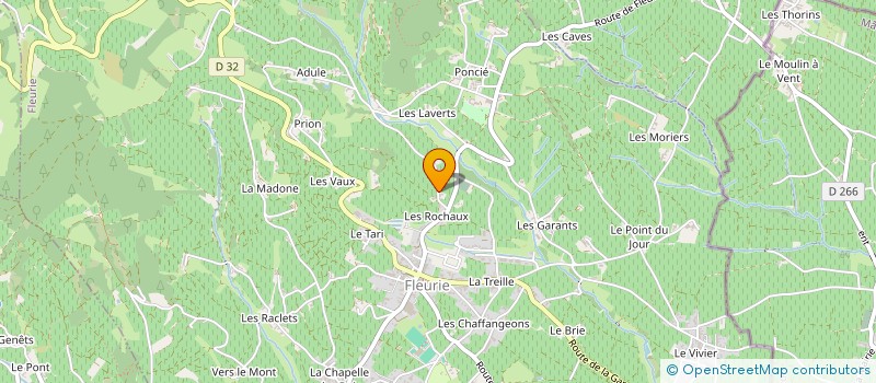 localisation de l'entreprise ARTISANAT BOIS 2000 à FLEURIE