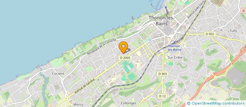 localisation de l'entreprise ARTISTES DE FRANCE SUD-EST à THONON-LES-BAINS