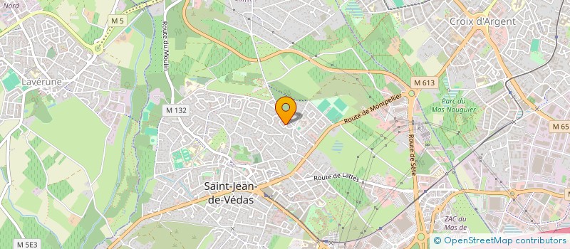localisation de l'entreprise ARTISTES ITINERANTS DU MONDE ENTIER à SAINT-JEAN-DE-VEDAS