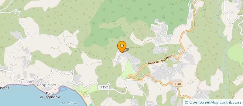 localisation de l'entreprise ARTRIL  OLMETO