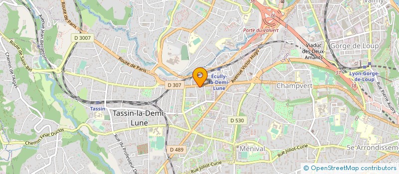 localisation de l'entreprise ARTS & CREATIONS  TASSIN-LA-DEMI-LUNE