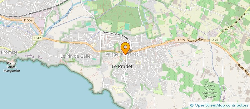 localisation de l'entreprise ARTS ET MUSIQUE à LE PRADET