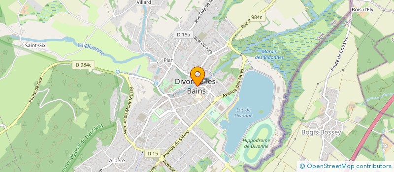 localisation de l'entreprise ARTS ET PATRIMOINE DIVONNAIS à DIVONNE-LES-BAINS