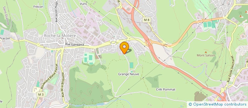 localisation de l'entreprise ARTS MARTIAUX ROUCHONS  ROCHE-LA-MOLIERE