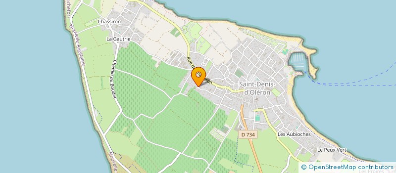 localisation de l'entreprise ARTTOR  SAINT-DENIS-D'OLERON