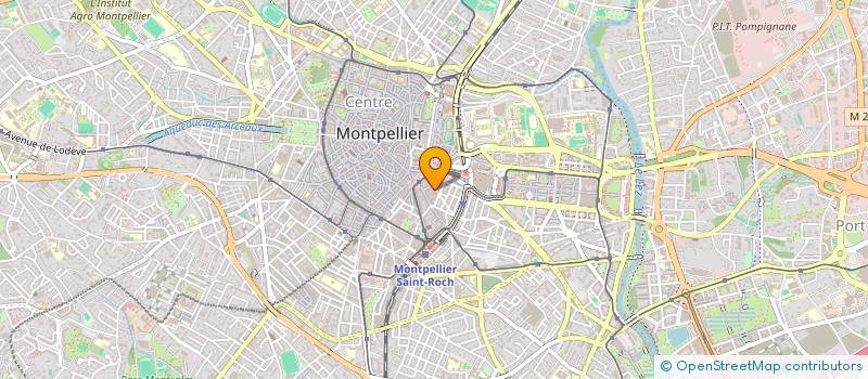 localisation de l'entreprise ARUY à MONTPELLIER