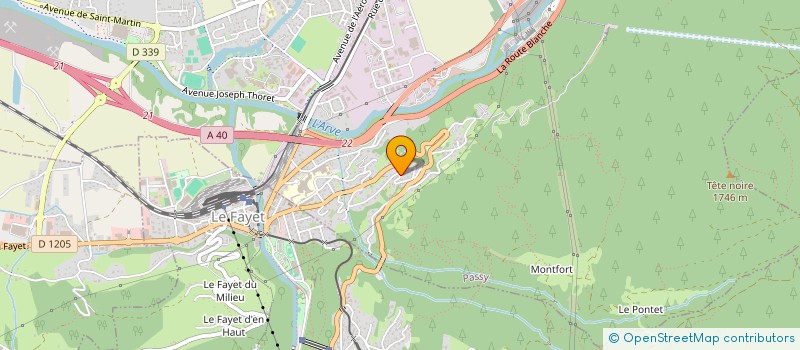 localisation de l'entreprise ARVE EXPERTISE  PASSY