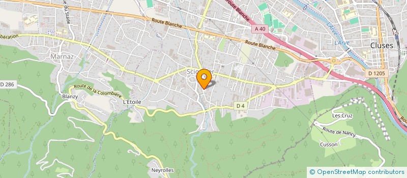 localisation de l'entreprise ARVE VALLEE CONSTRUCTION  SCIONZIER