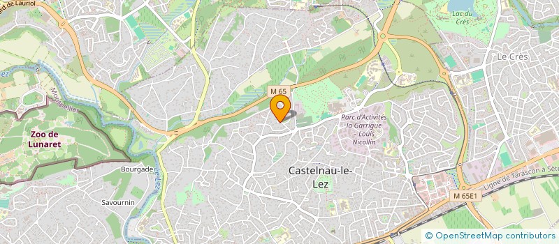 localisation de l'entreprise ARVICA  CASTELNAU-LE-LEZ