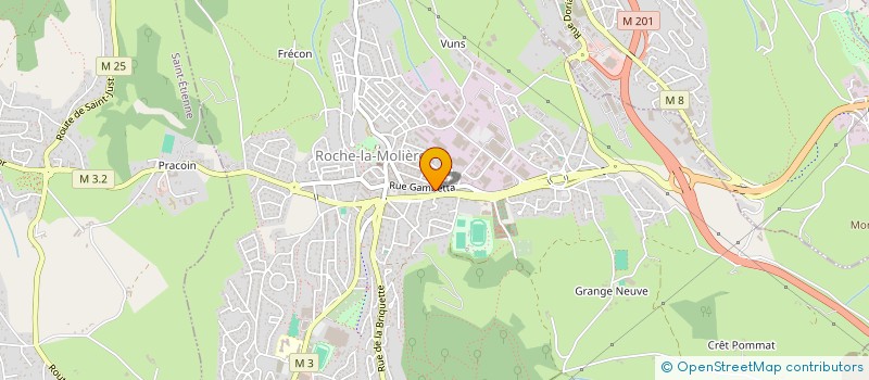 localisation de l'entreprise ARVISTA  ROCHE-LA-MOLIERE