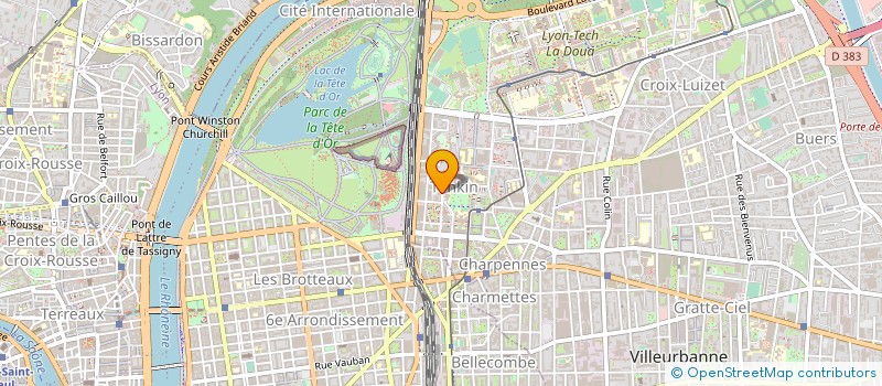 localisation de l'entreprise ARY  VILLEURBANNE