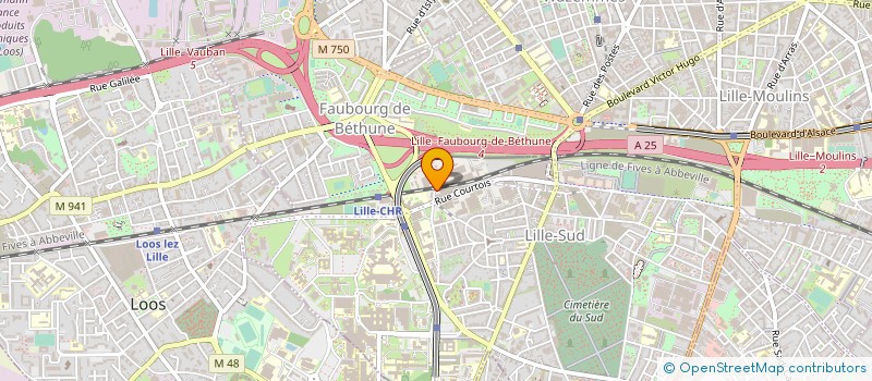 localisation de l'entreprise AS 313 à LILLE