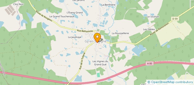 localisation de l'entreprise AS USEP 'LES PETIS SPORTIFS DE GY'  GY-EN-SOLOGNE