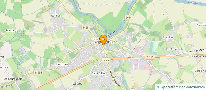 localisation de l'entreprise ASA D'IRRIGATION DE NEGREPELISSE EST  NEGREPELISSE