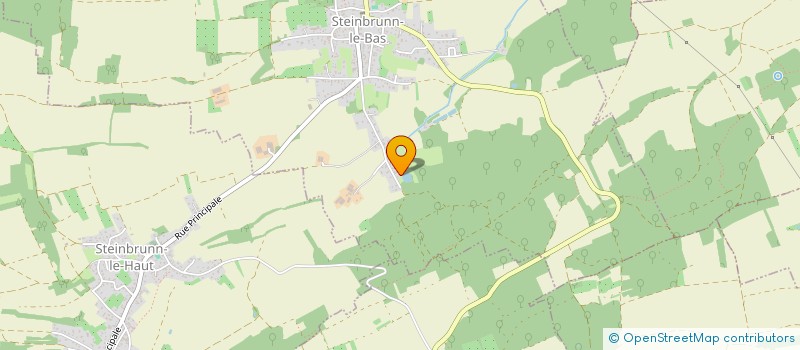 localisation de l'entreprise ASAVE - ASSOCIATION SAUVETAGES DES ANIMAUX, VEGETALISME ET ECOLOGIE  STEINBRUNN-LE-BAS