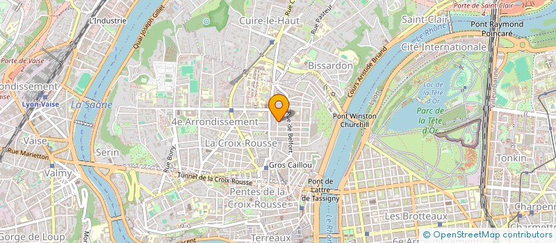 localisation de l'entreprise ASCENT PROPERTIES  LYON