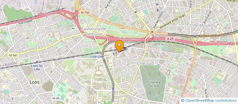 localisation de l'entreprise ASEO PROPRETE à LILLE