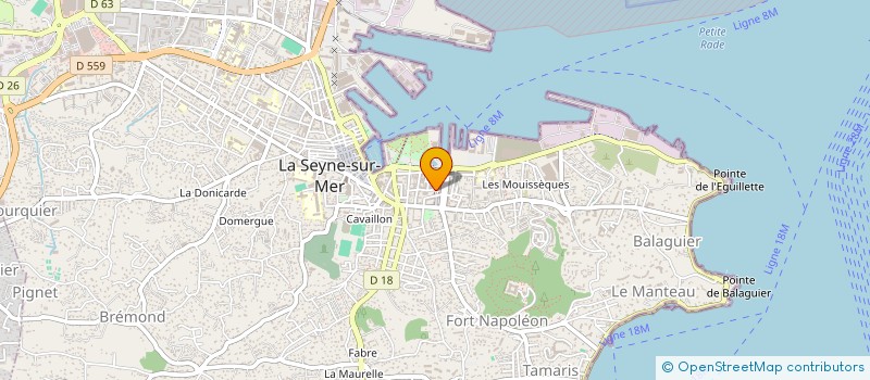 localisation de l'entreprise ASIAN TRAITEUR à LA SEYNE-SUR-MER