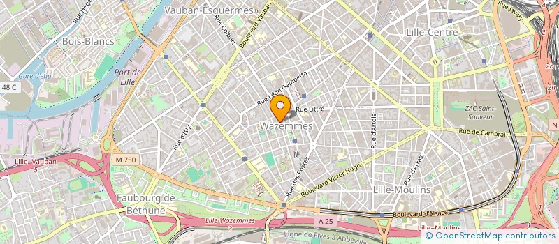 localisation de l'entreprise ASIE VIANDES à LILLE