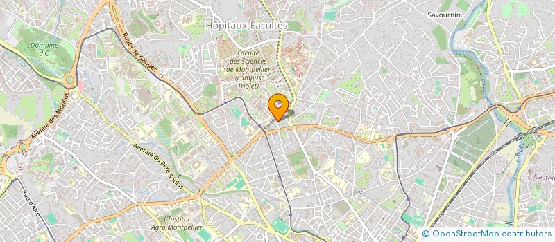 localisation de l'entreprise ASOSIASI WANITA INDONESIA MONTPELLIER à MONTPELLIER