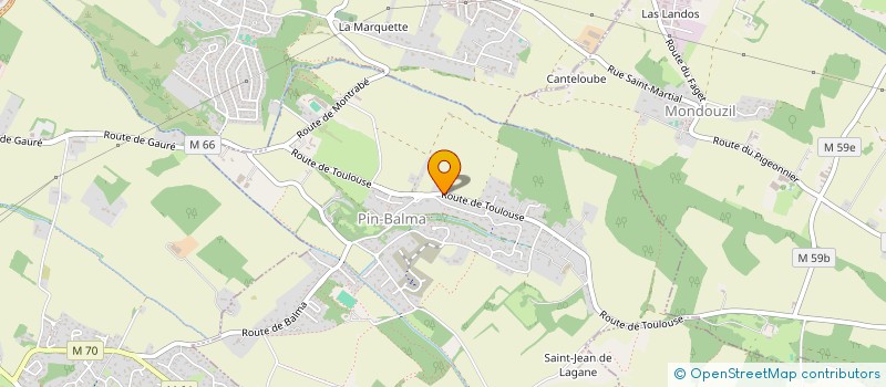 localisation de l'entreprise ASPARAGUS  PIN-BALMA