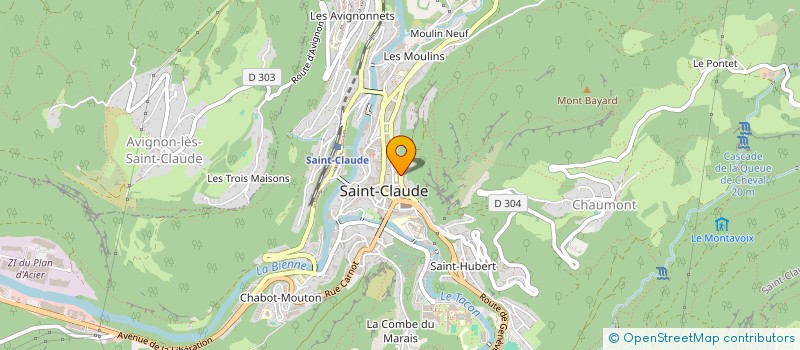 localisation de l'entreprise ASS ANCIENS ELEVES ST CLAUDE  SAINT-CLAUDE