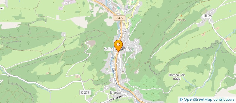 localisation de l'entreprise ASS ARBRE DE VIE   EGLISE EVANGELIQUE  SALINS-LES-BAINS