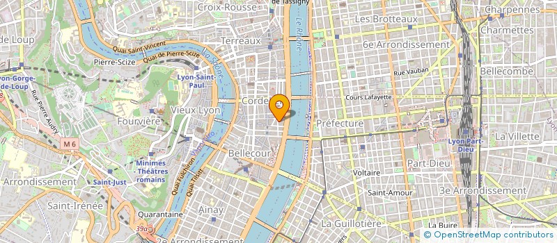 localisation de l'entreprise ASS ART AU PRESENT à LYON