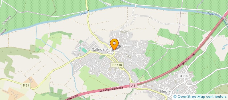 localisation de l'entreprise ASS  ART MUSICAL SALLOIS  SALLES-D'AUDE