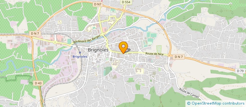 localisation de l'entreprise ASS ARTS DIVERTIS ANIMAT CREATION SPECTA  BRIGNOLES