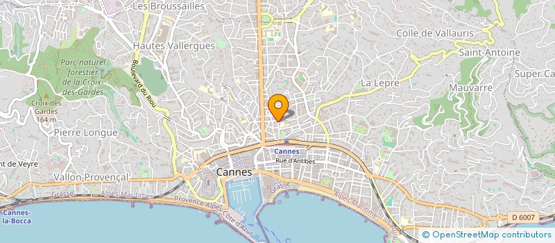 localisation de l'entreprise ASS  ASSOCIATION UNION PORTUGAISE  CANNES