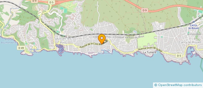 localisation de l'entreprise ASS AVF ACCUEIL  SAUSSET-LES-PINS