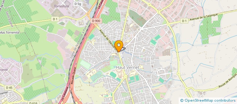 localisation de l'entreprise ASS.BOULISTE DU HAUT-VERNET JEU LYONNAIS  PERPIGNAN