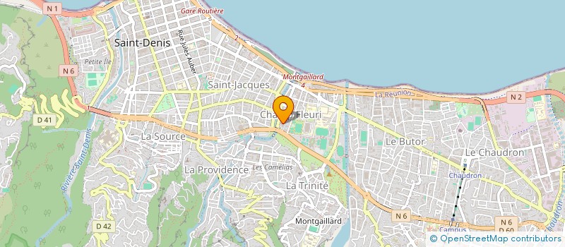 localisation de l'entreprise ASS CERCLE GENEALOGIQUE DE BOURBON à SAINT-DENIS