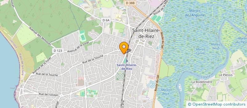 localisation de l'entreprise ASS COMITE DEPARTEMENTAL DE TIR à SAINT-HILAIRE-DE-RIEZ